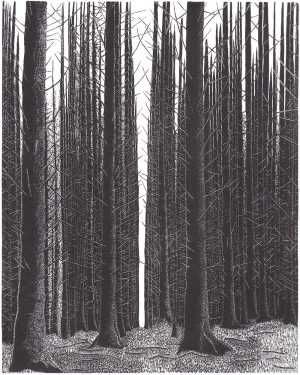 David Robertson, The Parting