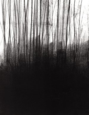 Emma Fitzpatrick, Glade II