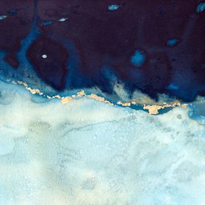 Marianthi Lainas, Seableed #11  