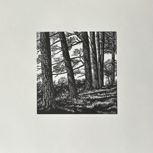 Richard Studer, Hergest Pines